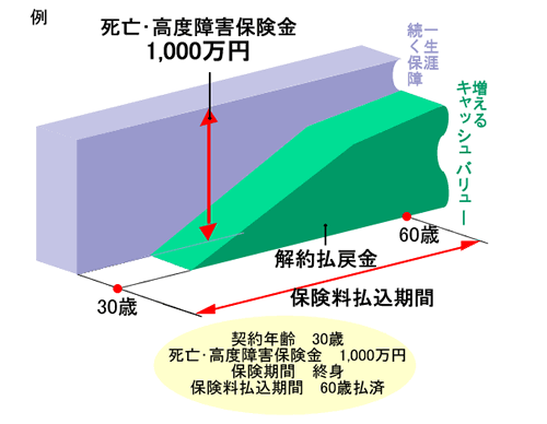 終身保険図解説明