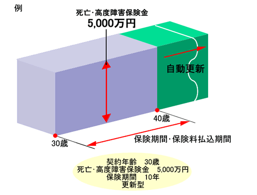 定期保険図解説明